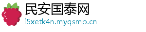 民安国泰网
